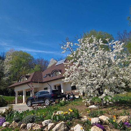 Provence Suceava Hotel Екстериор снимка