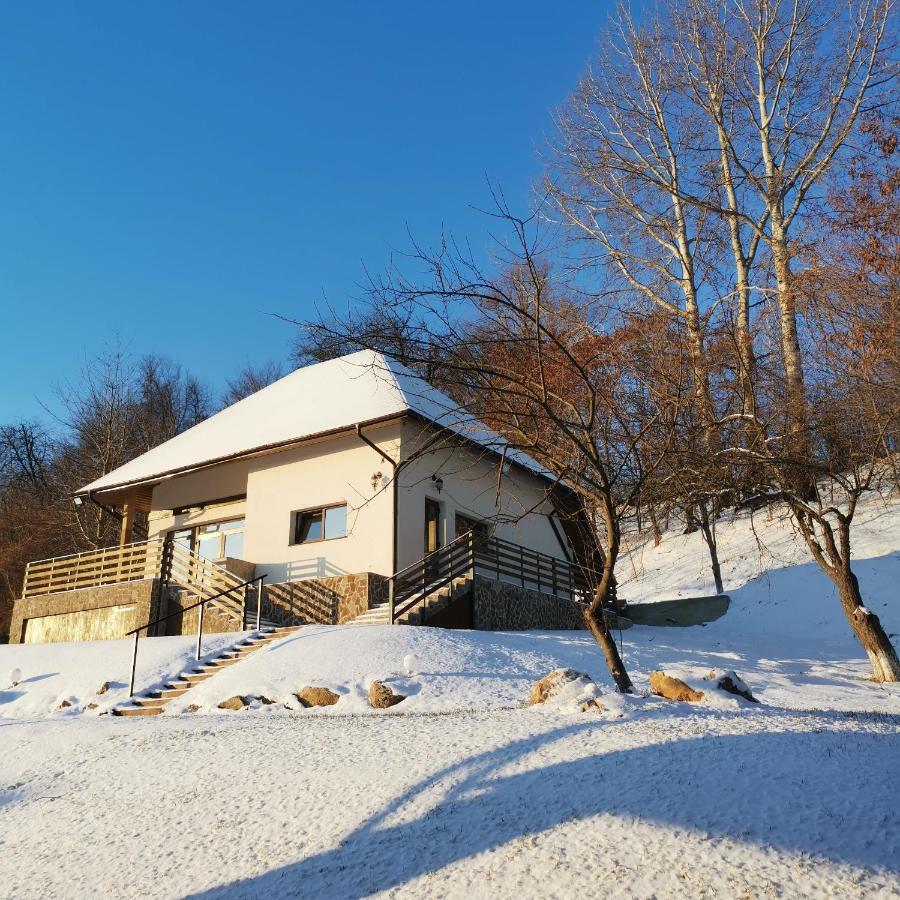 Provence Suceava Hotel Екстериор снимка