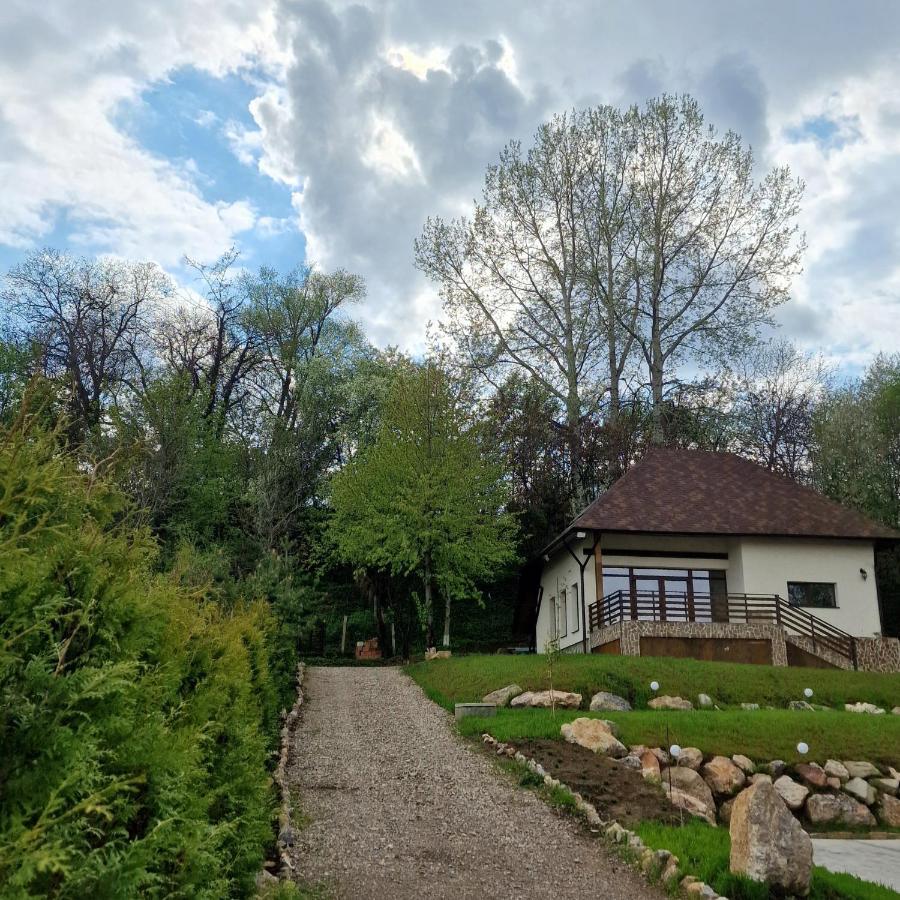 Provence Suceava Hotel Екстериор снимка