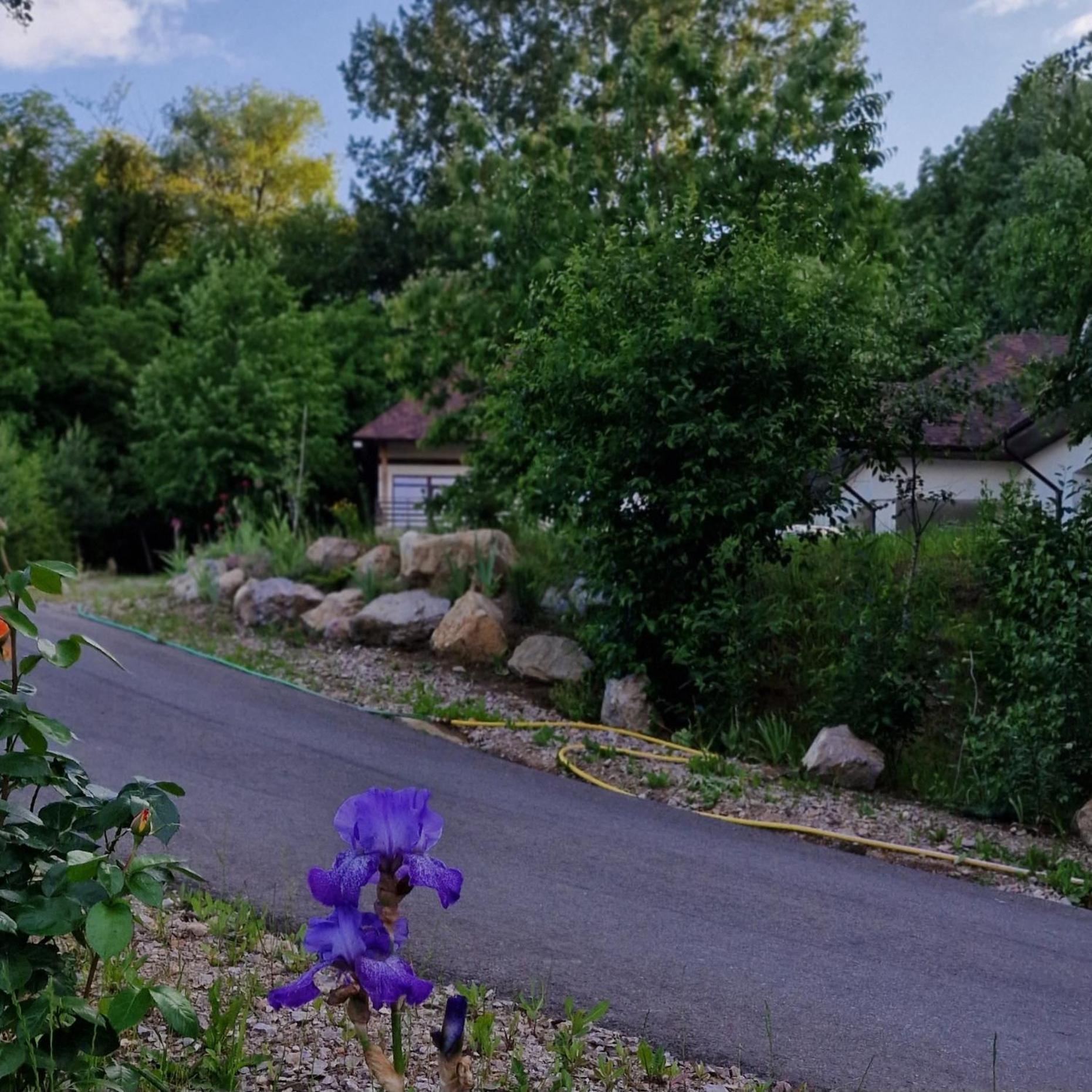 Provence Suceava Hotel Екстериор снимка