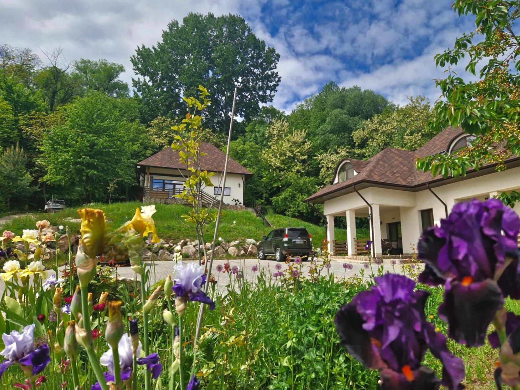 Provence Suceava Hotel Екстериор снимка