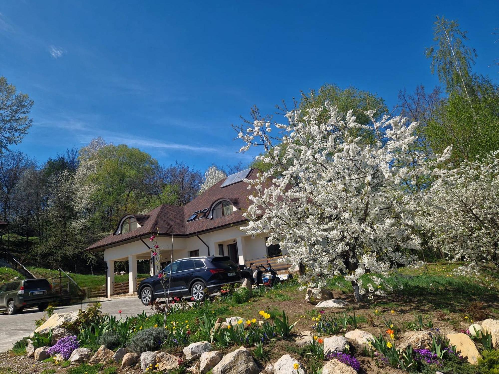 Provence Suceava Hotel Екстериор снимка